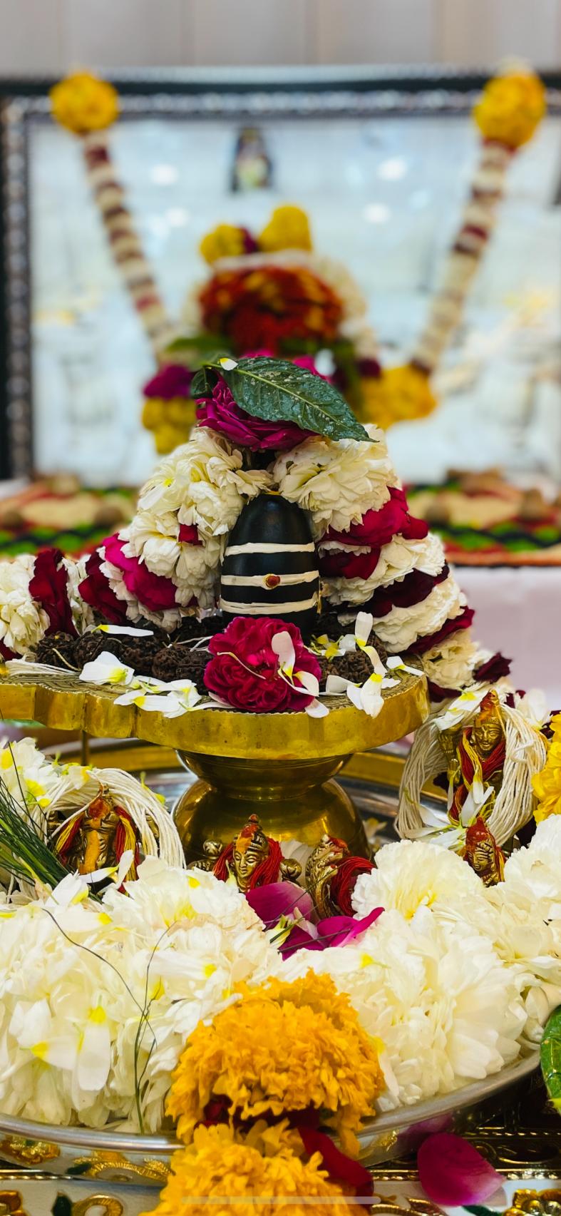Mangal Dosh Nivaran